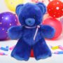 Cadeau anniversaire peluche bleu ours