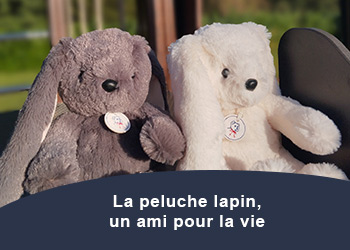Peluche lapin pour bébé, cadeau naissance, lapin en peluche
